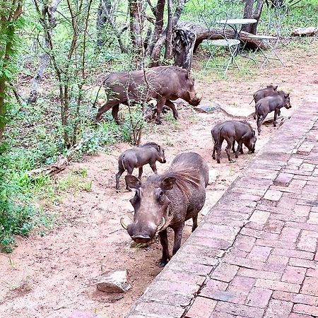 The Bush Hut Villa Hoedspruit Eksteriør billede