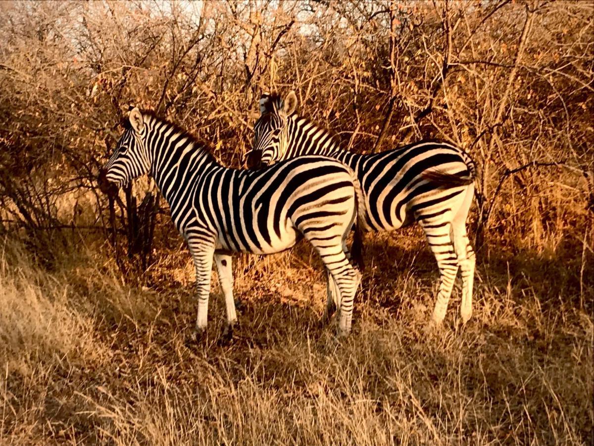 The Bush Hut Villa Hoedspruit Eksteriør billede